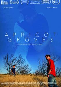 Абрикосовые рощи 2016