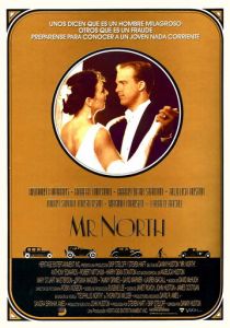 Мистер Норт 1988