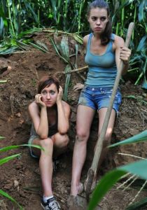 Поля кукурузы 2015