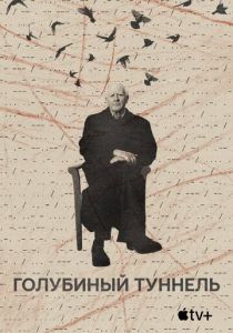 Голубиный туннель 2023