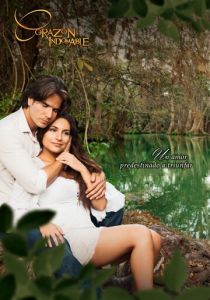 Непокорное сердце 2013