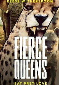 Свирепые королевы 2020