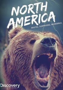 Discovery: Северная Америка 2013