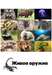 Живое оружие 2016