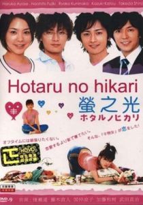 Мерцание светлячков 2007