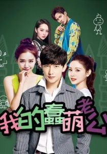 Мой милый глупый муж 2016