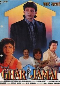 Домашний зять 1992