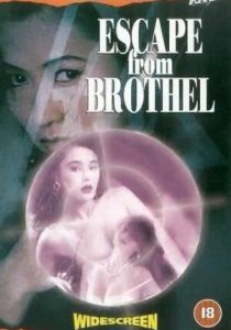 Побег из борделя 1992