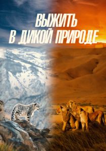 Выжить в дикой природе (Сериал 2016)
